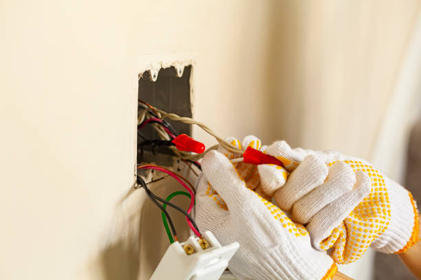 Best Electrical Panel Upgrades  in Porter Heights, TX